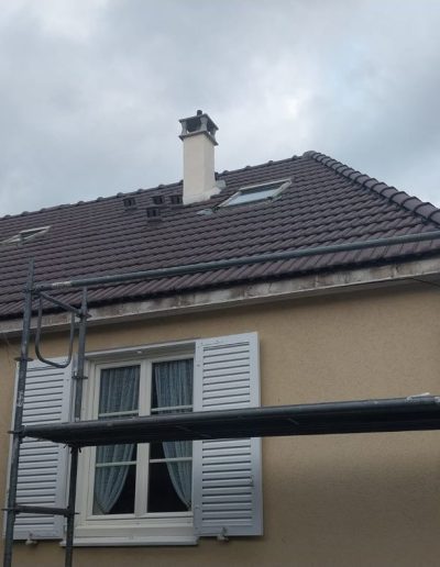 Démoussage et entretien